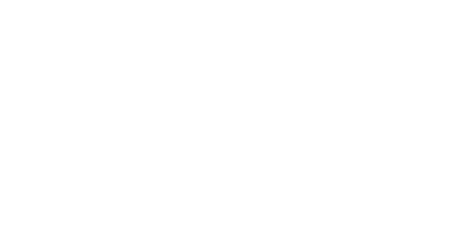 Logotipo DIC Moz Solution Branco